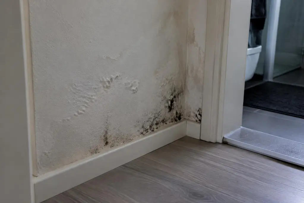 Lekdetectie Arnhem – vochtplek met schimmel op een muur